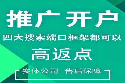 SEM竞价托管实战案例解析